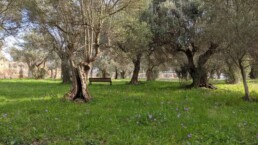 img_20200317_092055_mp