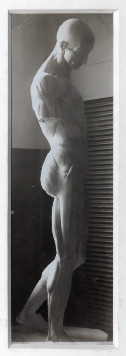 Costantin Brancusi, Modello anatomico, 1902 ca, stampa su gelatina d'argento