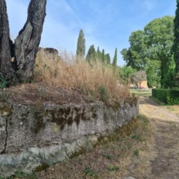 Area teatro Viale Cipressi Ante
