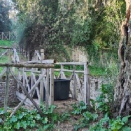 Ponte pedonale Ante