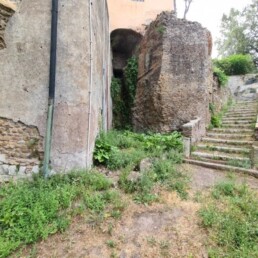 Scala Casino Fede Ante