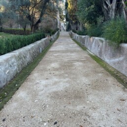 Viale Cipressi Post